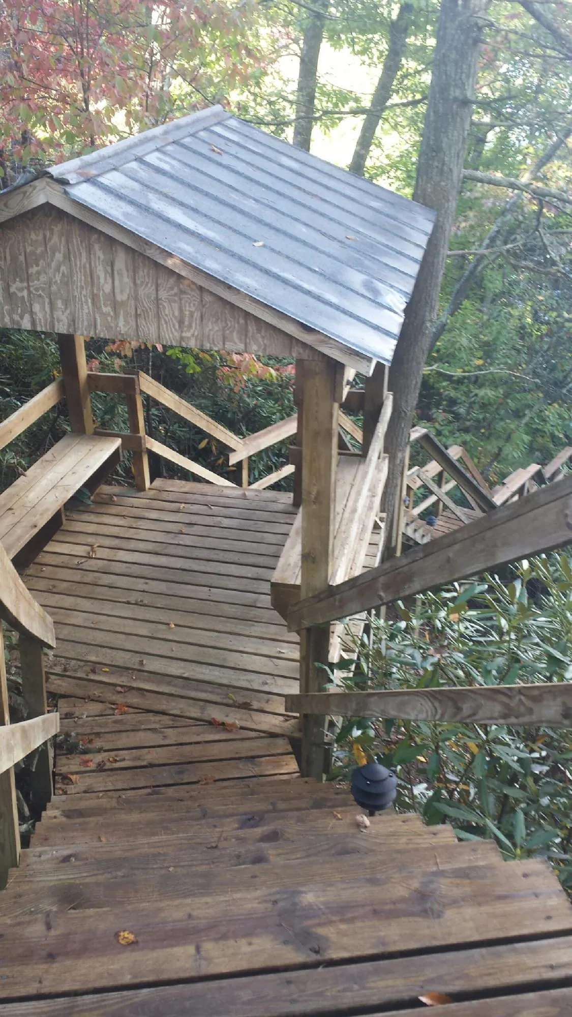 Metal roofed shelter over wooden steps on a wooded walkway — Skylight Repair & Installation work by our crew in Belleair Beach